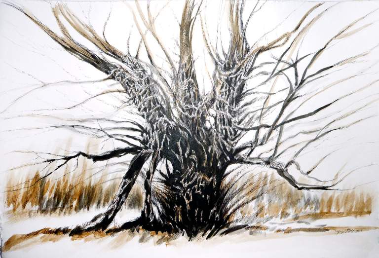 Swamp Tree